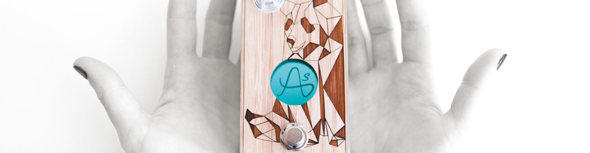Guitar Business : Alexandre Ernandez, ANASOUNDS
