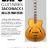 Expo Jacobacci lors du Guitare Village Fest