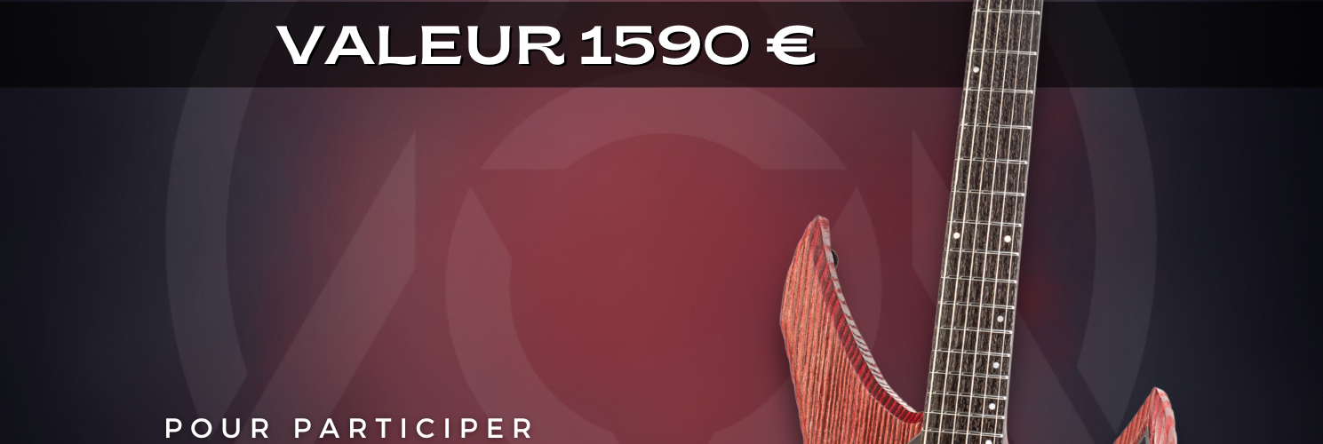 GIVE AWAY FLAMEL GUITARS